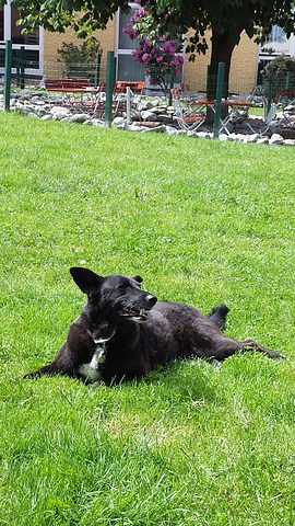 med_Sookie1.jpg (270 x 480)